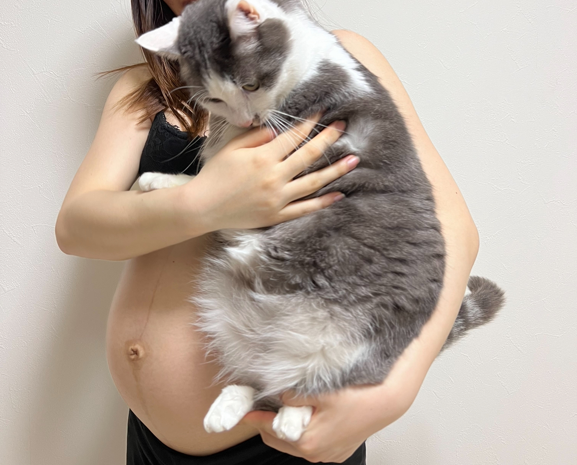 妊娠中の女性が大きなお腹を抱えながら、愛猫を抱いている様子。猫は白とグレーの毛色で、女性の腕にしっかりと抱かれています。