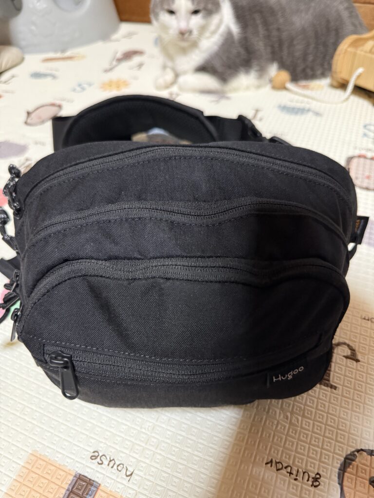 黒いショルダーバッグと後ろに猫。